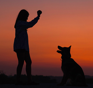 a dog play a ball with a girl