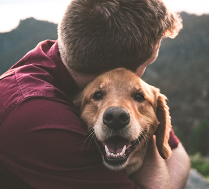 a man hug a brown dog